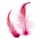 (4 buc.) Pene cocos subtiri fucsia intens 8-14cm