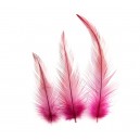 (8 buc.) Pene cocos subtiri fucsia intens 4-8cm