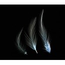 (8 buc.) Pene cocos subtiri bleu 4-8cm