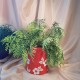 UNICAT - XCER20 - Vaza ceramica rosie cu flori albe 17.5*15*9.5cm
